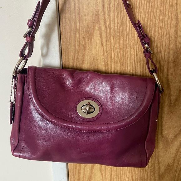 Danier Handbags - Danier Purple Real Leather Shoulder Bag